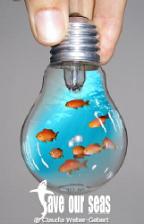 S ave
O ur
S eas

..the original Version by Claudia Weber-Gebert 